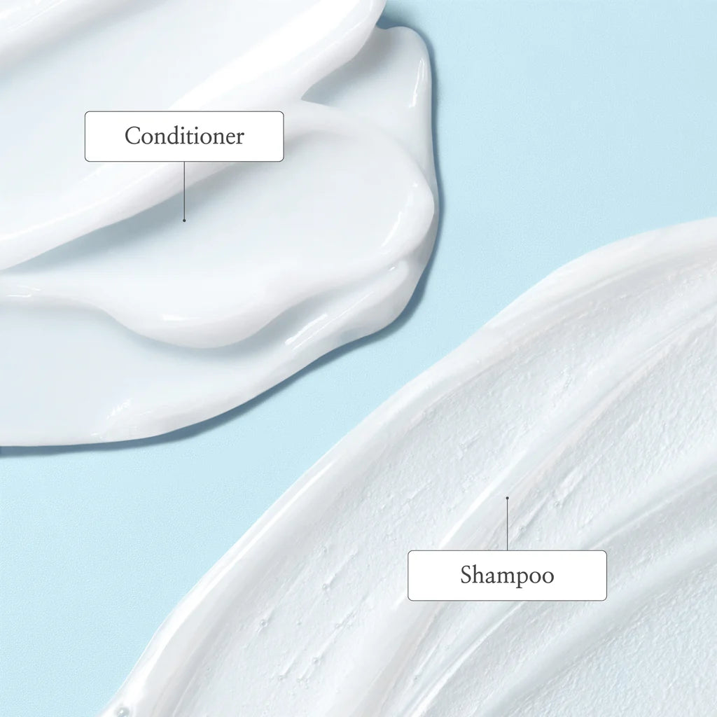 Coconut Milk Bundle